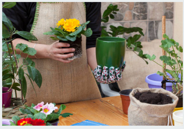 Mother’s Day Planter Workshop SATURDAY 29th March 10am