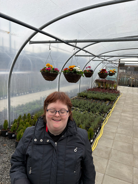 Spring Hanging Basket