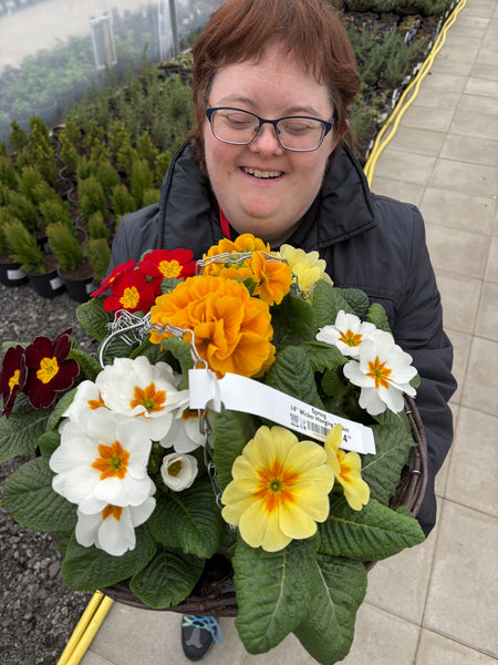 Spring Hanging Basket