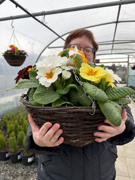 Spring Hanging Basket