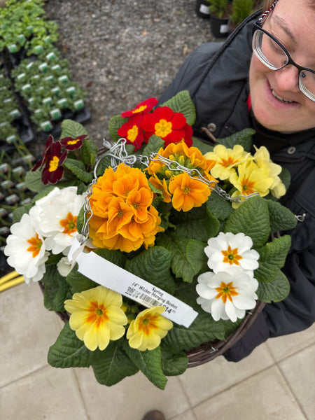 Spring Hanging Basket