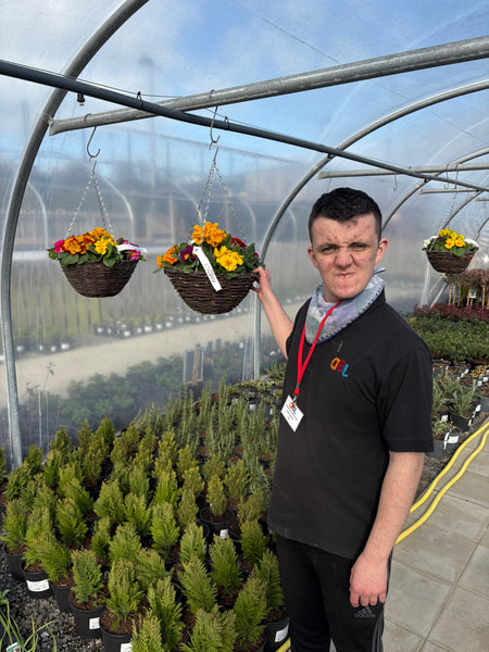 Spring Hanging Basket