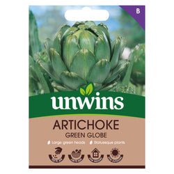 Artichoke Green Globe