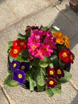 Spring Hanging Basket