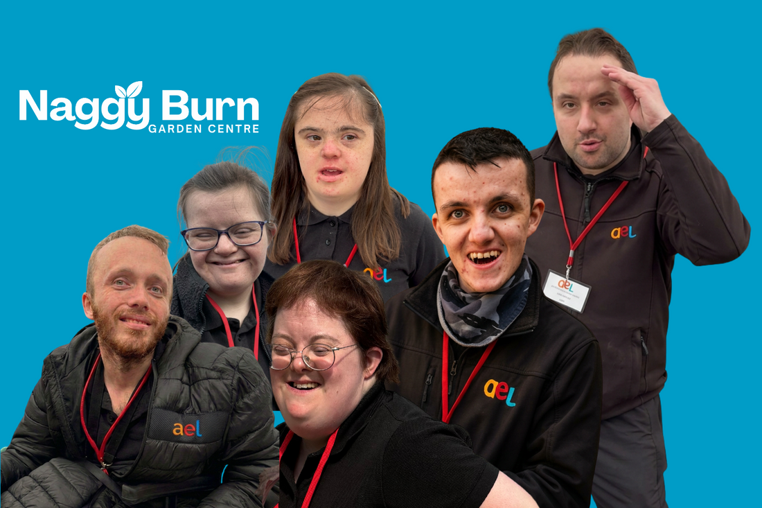 Growing Brighter Futures: Meet the Team Behind the Garden Centre