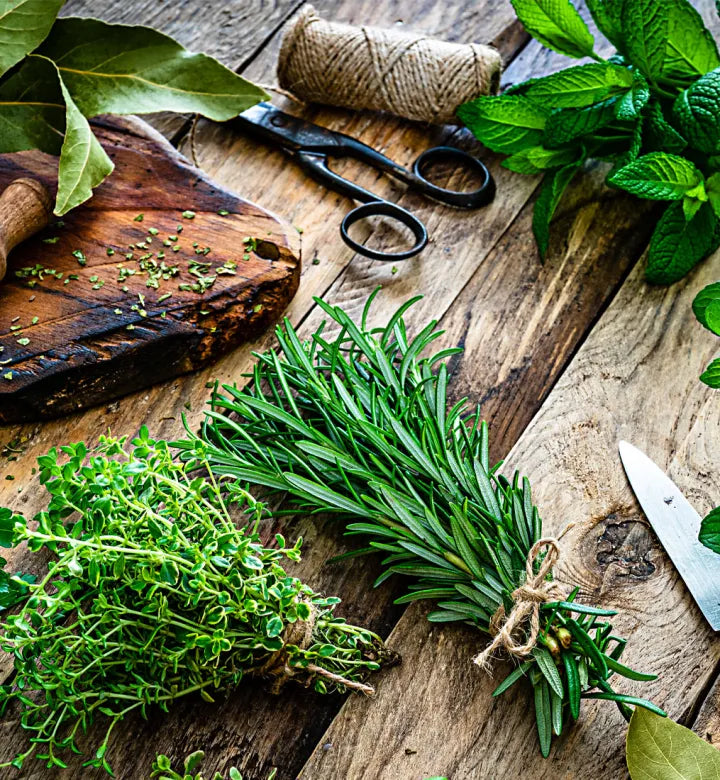 Herbs