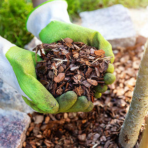 Bark Mulch