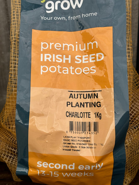 Charlotte Seed Potatoes 1kg