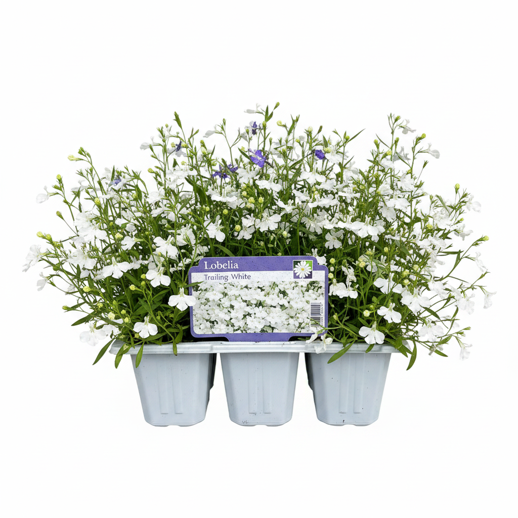 Pack Bedding