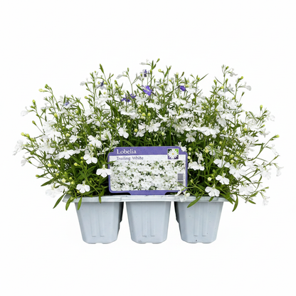 Pack Bedding