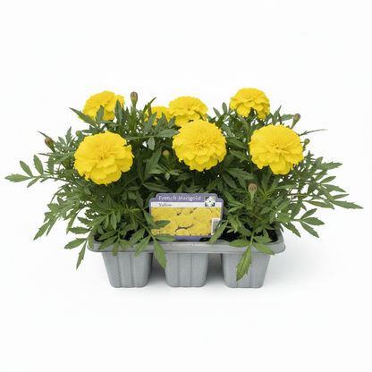 Pack Bedding