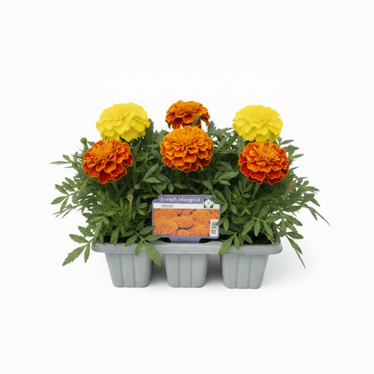Pack Bedding