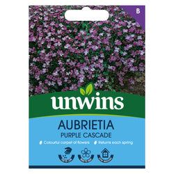 Aubrieta Purple Cascade