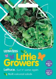 Little Growers Lettuce Cut n' come again